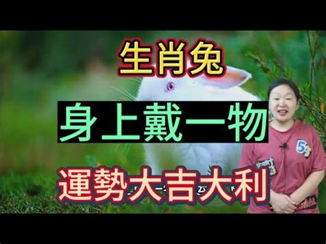 屬兔座向|屬兔人房屋朝向全解析